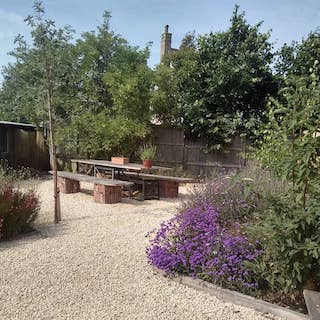 Back garden with white shingle and lavender